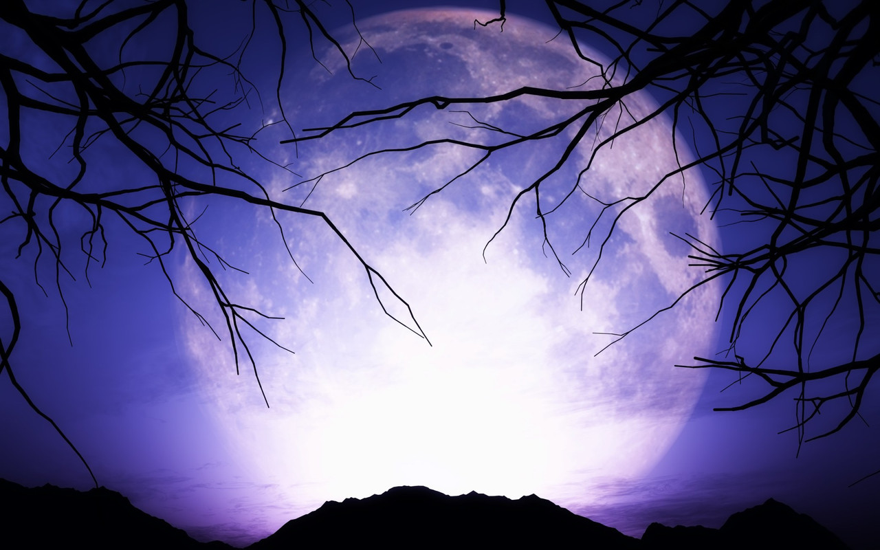 Luna piena nella notte di Halloween Rami scuri incorniciano una grande luna piena nella notte di Halloween
