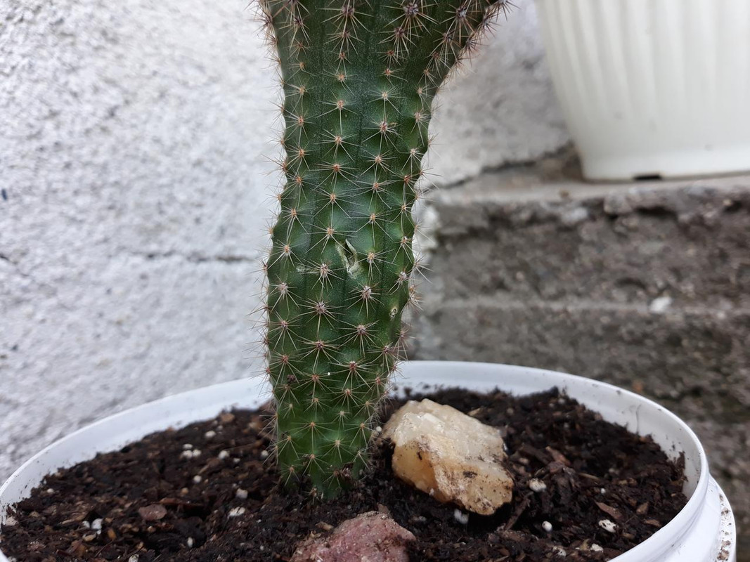 20190729_110346