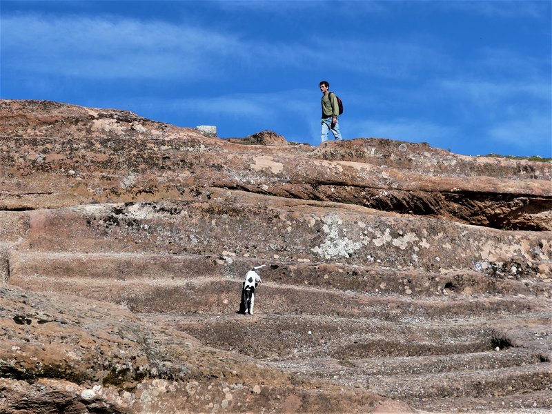 YACIMIENTO ARQUEOLOGICO DE TIERMES-16-2-2020 - Soria y sus pueblos-2010/2013/2020 (107)