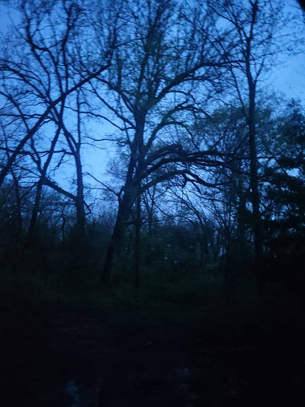20220430_055534