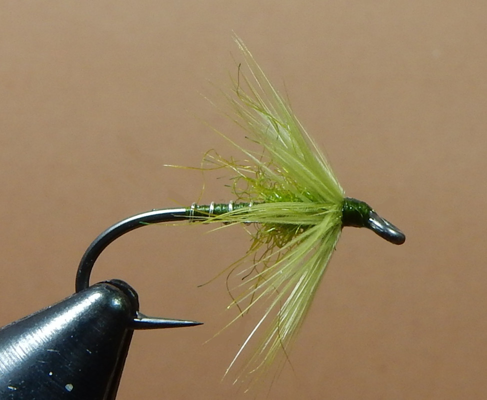 Olive-Nigel-1080.jpg