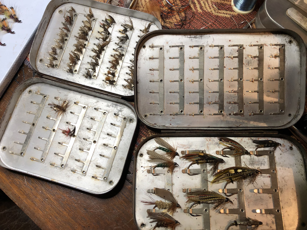 0B7815E6-9E8D-4F17-B7E1-0A17808D849C