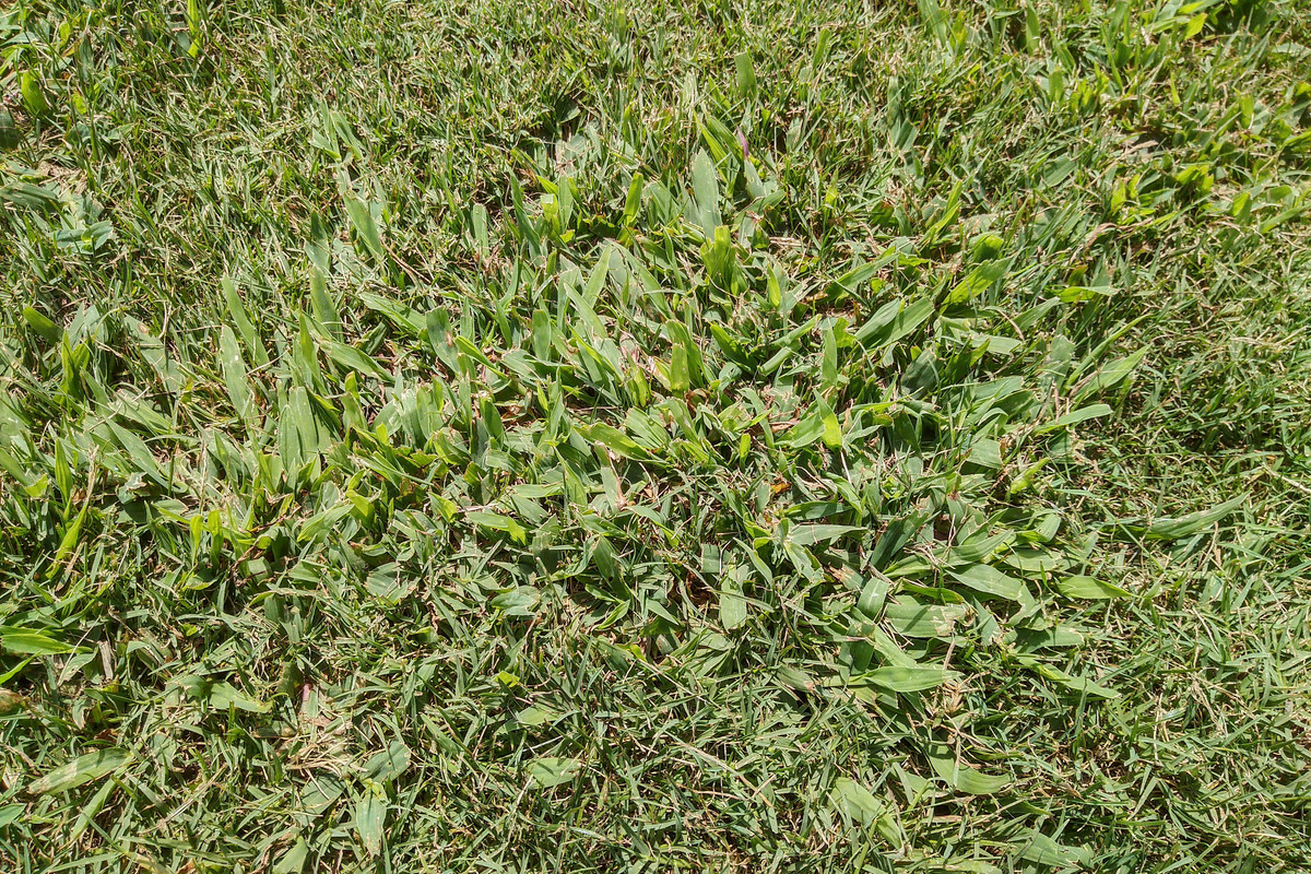 IMG_20190806_1158025