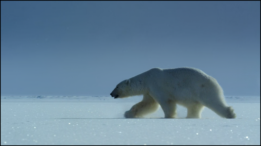 [Image: am7r1ucv53ds.png]