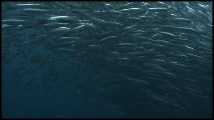 [Image: ehx7k8n9dgq3.png]