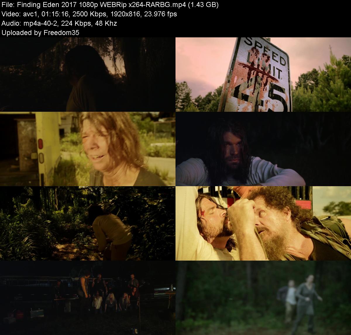 Finding-Eden-2017-1080p-WEBRip-x264-RARB