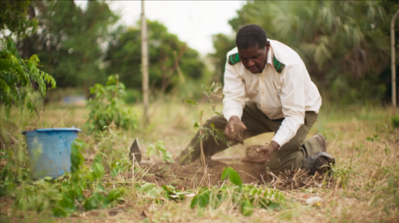 [Image: hpbs6i685krt.png]