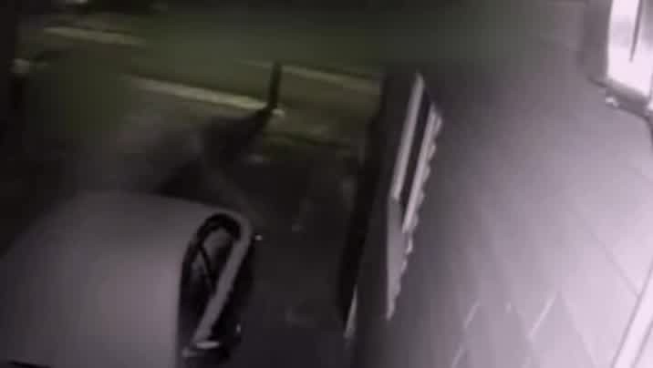 [Image: yzpo1k0bh25a.jpg]