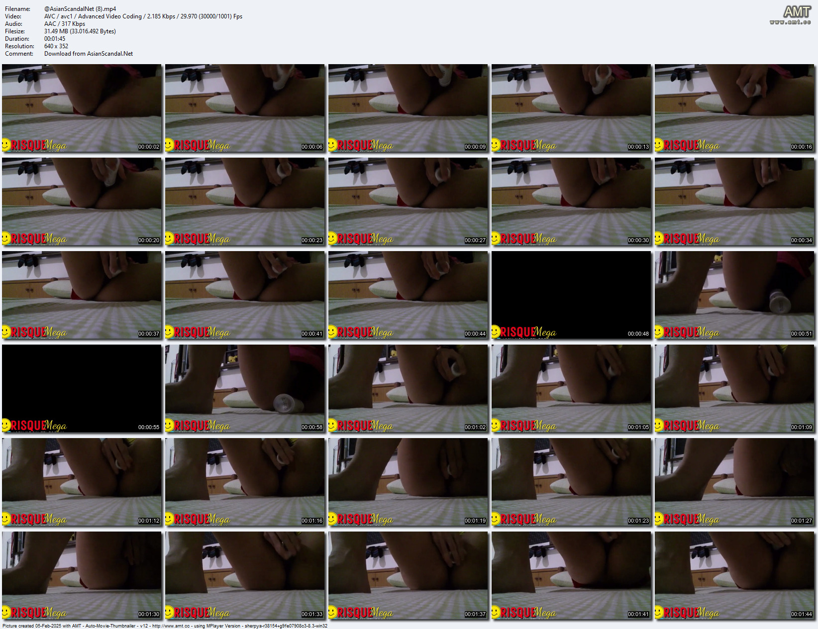 Asian-Scandal-Net-8-mp4