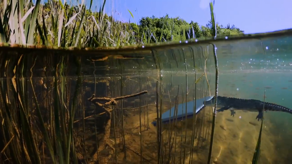 [Image: y4bx4pphle83.png]