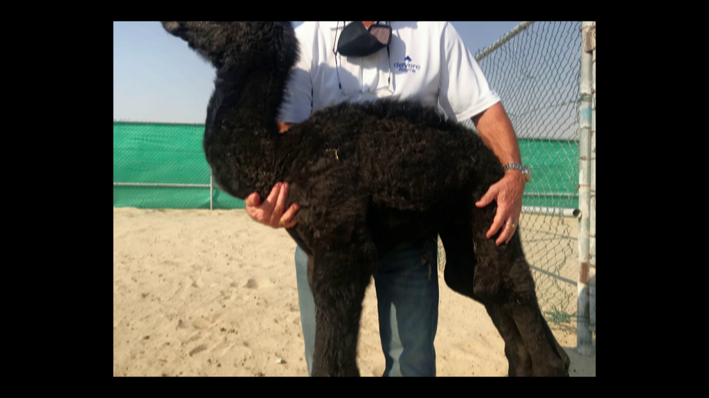 [Image: 9vfqbl7l44zj.png]