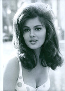 Pamela-Tiffin-b63