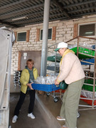 IMG-20250416-WA0028