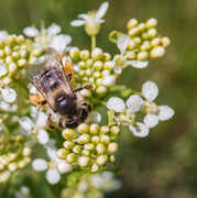 IMG-20190424-140150