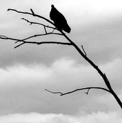 E293661B-BD1C-4482-A3CB-CE5ECF8F6D52