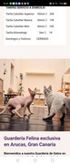 Screenshot-20260608-164125