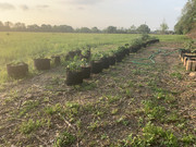 9891B7DF-4A2B-46CA-85AD-21DE9B473CF1