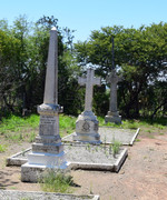 DSC-0372