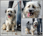 Be-Funky-collage-22.jpg&key=81a2b9b131b7