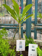 photo-20211123-iherbalgarden-027