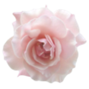 tumblr-b0b65a34ec48ebbb189071637652cddd-37d41977-250