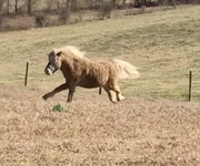 3DF64A82-3158-4075-BBEA-8E971220D10A