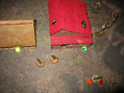 IMG-9386