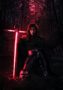 mizuri-official-kyloren