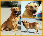 Be-Funky-collage-28.jpg&key=4126374aa752