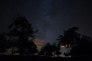 IMG-0655.jpg