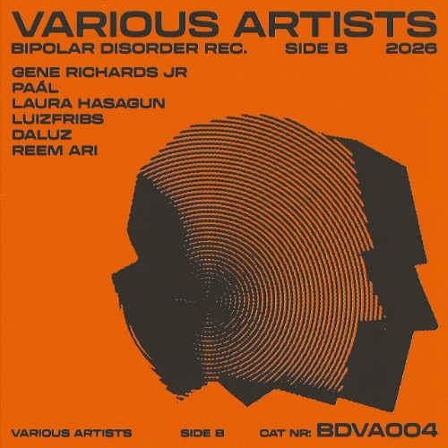 VA-Various-Artist-Vol-004-BDVA004A-WEB-2