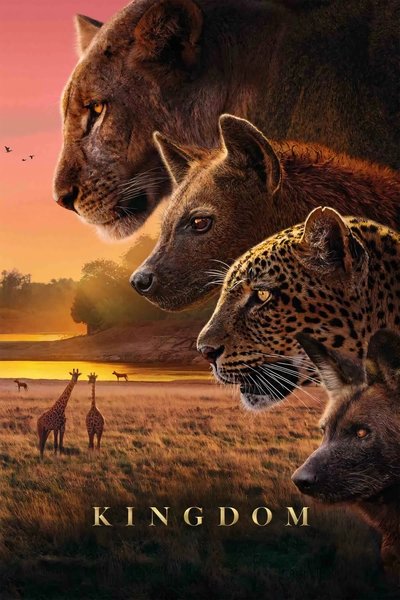 [Image: 49ktu6vy8vss.jpg]