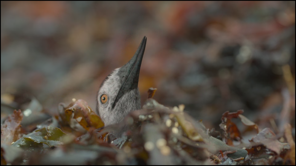 [Image: 85h37imhghep.png]