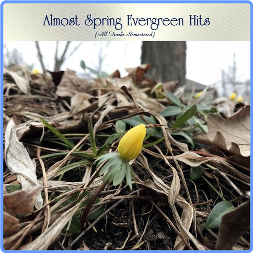 Almost Spring Evergreen Hits (All Brani Remastered) (2021) mp3 320 Kbps