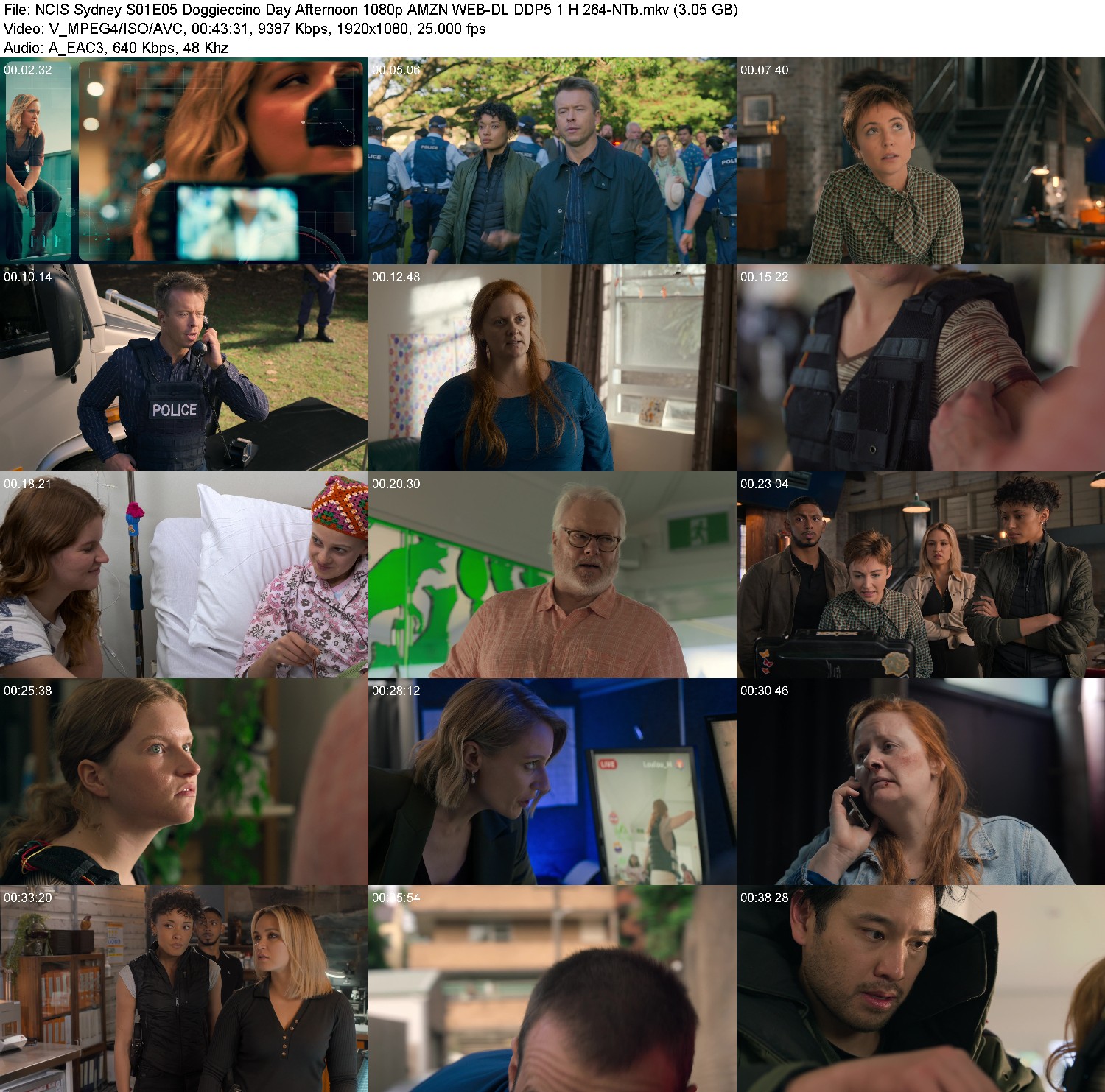 [Image: r0nv9pg7u3zb.jpg]