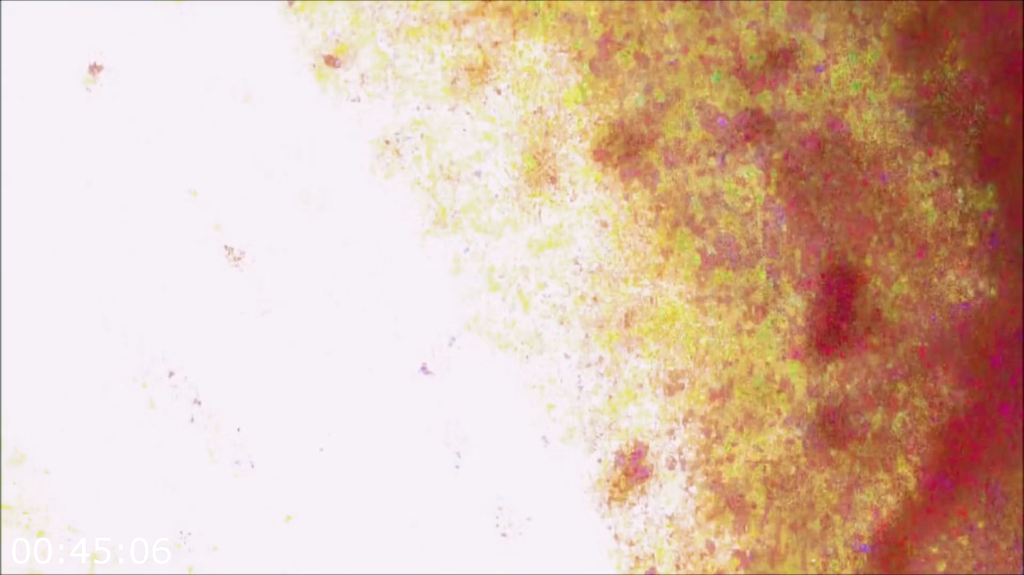 [Image: ol0krjo5o8p4.png]