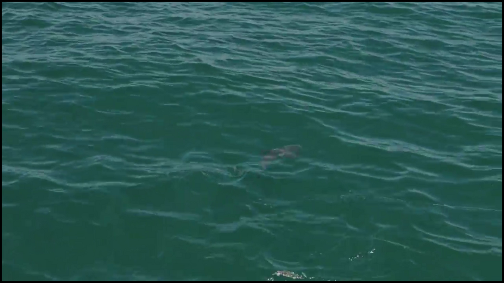 [Image: r6zs5fe0guf2.png]