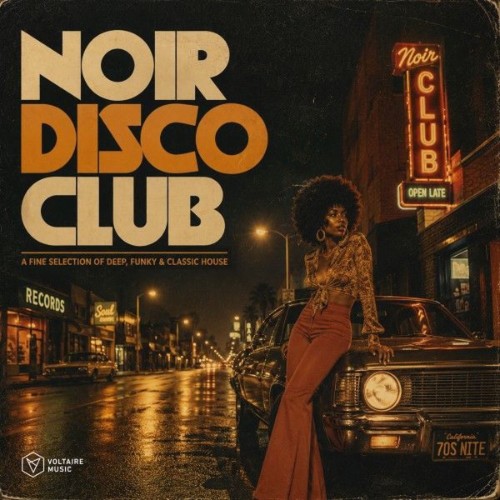VA - Noir Disco Club, Vol. 1 (2026)