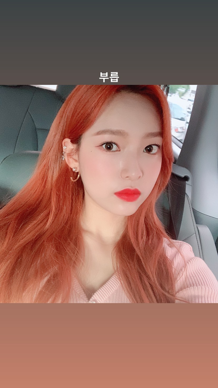 97892840-2364896880279952-12989838677429