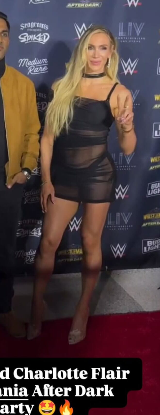 wm25a.jpg