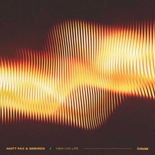 00-matt-fax-and-88birds-high-on-life-enc
