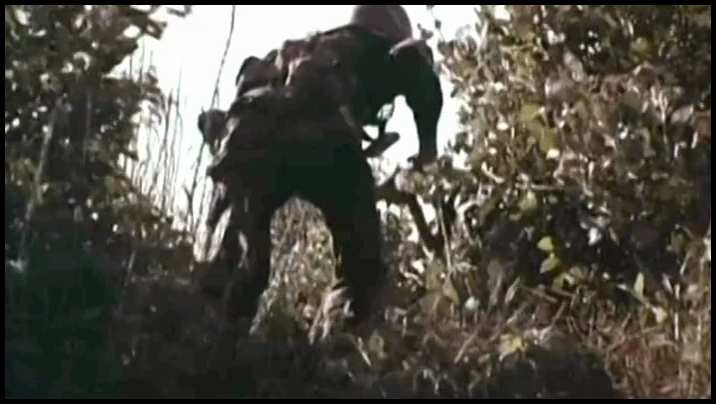 [Image: qep73hbyyw36.png]