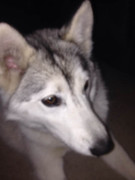 19748801_1706053756367016_7726242023090491266_n