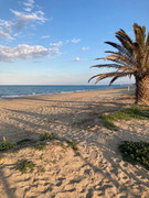 IMG-20220407-iphone se