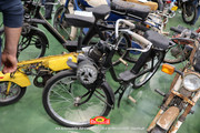 IMG-1270