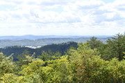 DSC0045