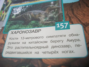 https://i.postimg.cc/D85qcL4y/100-8082.jpg