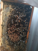 photo_2020-06-16_07-17-20