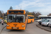 IMG-1241