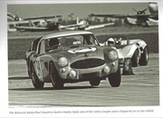  1965 International Championship for Makes 65-Seb34-Healey3000-P-Hawkins-W-Banks-2